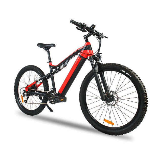 E-BIKES