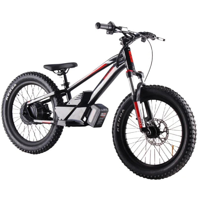 FXB mini motorcycle 20inch kids bike lithium battery powered electric cross bike 36V electric balance bike ebike 12inch 16inch